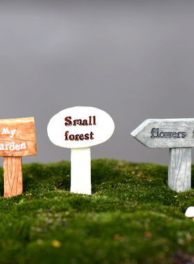 微景观盆栽森林生态瓶摄影小摆件