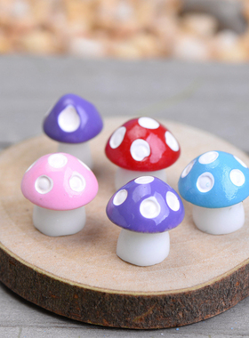 微景观花盆蘑菇摄影可爱风小摆件