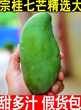 广西百色桂七芒大果9斤 应季新鲜水果现摘整箱包邮5斤青皮桂7芒果