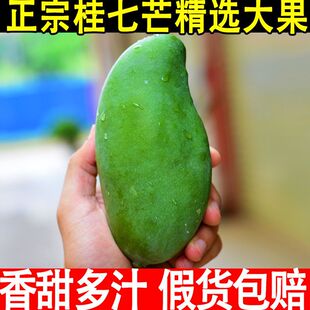广西百色桂七芒大果9斤 应季新鲜水果现摘整箱包邮5斤青皮桂7芒果