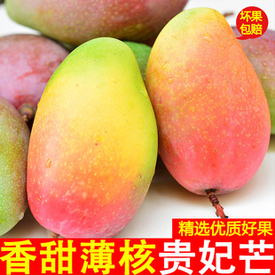 海南正宗贵妃芒果应季薄皮红金龙大果新鲜水果甜当季整箱直发包邮
