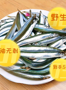 新鲜小青鱼面条鱼本地玉筋鱼野生海捕小银鱼冷冻水产香煎油炸