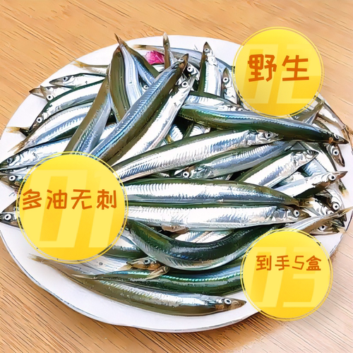 新鲜小青鱼面条鱼本地玉筋鱼野生海捕小银鱼冷冻水产香煎油炸