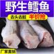 无头鳕鱼新鲜明太鱼冷冻去头去内脏狭鳕鱼整条深海鳕鱼海鲜