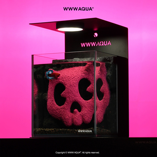 K11 x WWWAQUA鬼马系列BONBOBO斗鱼专用鱼缸造景生态全套小型客厅