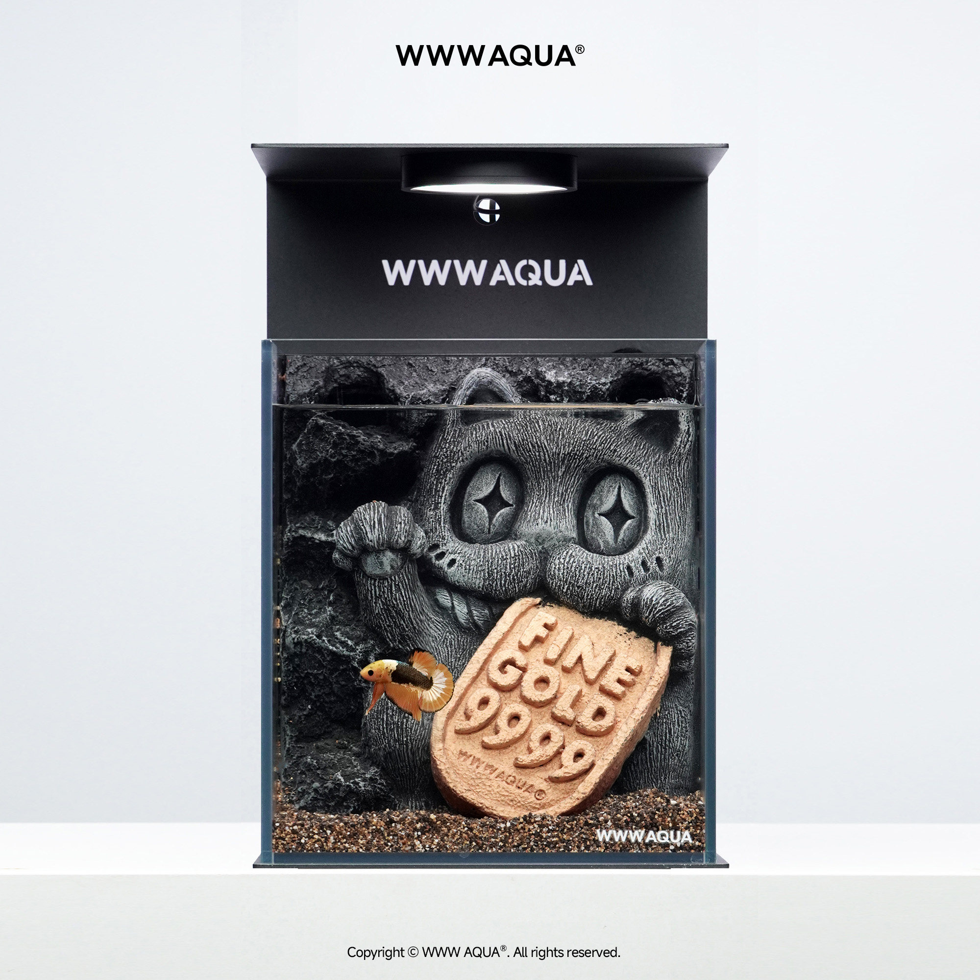 来财招财猫斗鱼专用鱼缸鱼缸