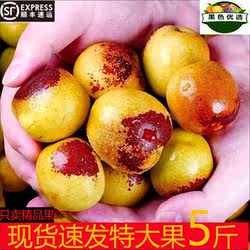山西运城临猗冬枣现摘新鲜应当季大枣孕妇鲜枣3斤5斤顺丰包邮礼盒