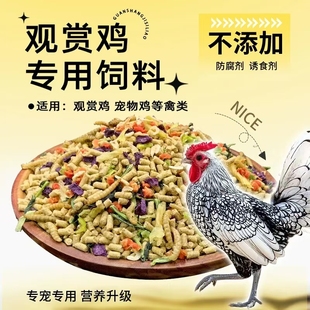 宠物观赏鸡大公鸡饲料营养粮蛋鸡小母鸡长尾鸡波澜鸡茶花鸡矮脚鸡