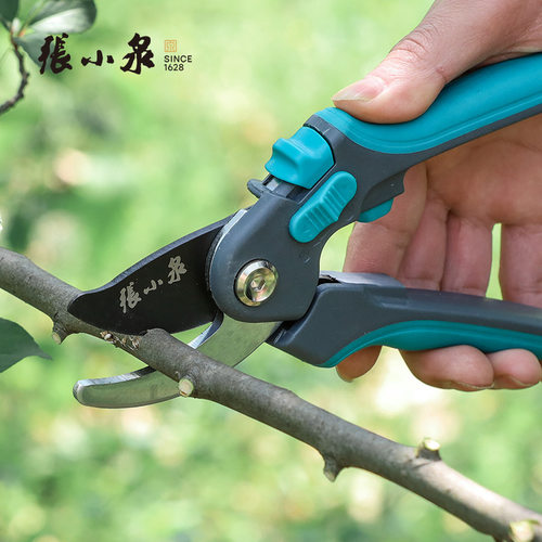 张小泉园艺剪刀修枝剪树枝剪修果树花剪家用园艺绿化工具园林剪刀
