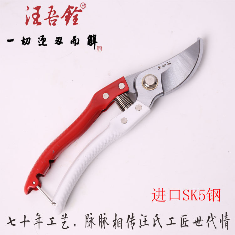 汪吾铨花剪园艺剪刀修枝剪刀家用 SK5粗枝剪子家用果树剪2109