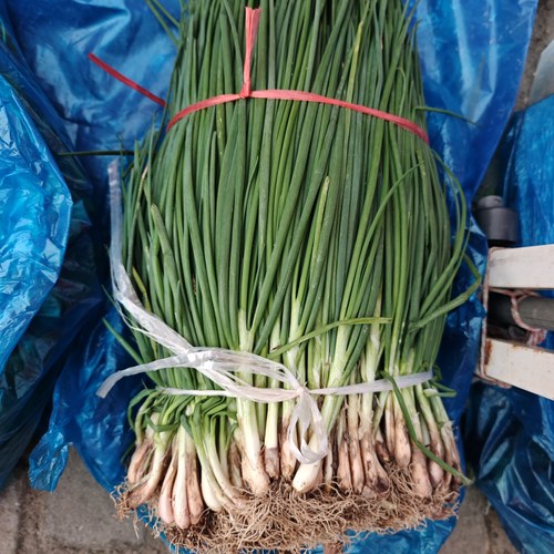 小香葱当季新鲜带泥香葱农家自种现摘微辣甜白露葱香葱蘸酱蔬菜