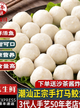 潮汕正宗手打手工马鲛鱼丸装汕头达濠特产烧烤火锅丸子食材商用