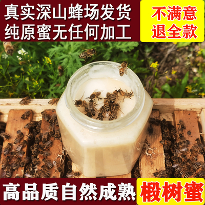 高品质天然无加工精选椴树蜜