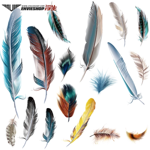 Жирная бабочка на электромобиле царапает наклейка на автомобиль.