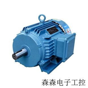 18.5KW 三相异步电动机 厂家供应 高速 160L 风机电机 全铜 YE3