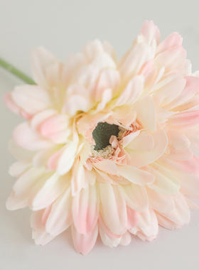 仿真花单支扶郎花酒店非洲菊假花韩式扶郎菊绢花小雏菊