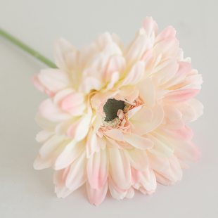 扶郎菊绢花小雏菊 仿真花单支扶郎花酒店非洲菊假花韩式