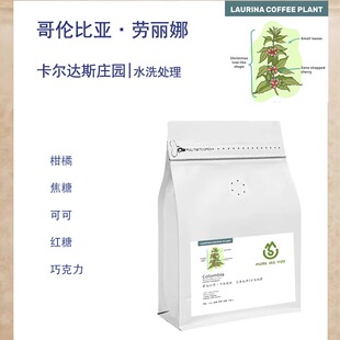 哥伦比亚Caldas卡尔达斯尖身波旁Laurina 水洗处理低因咖啡豆浅烘