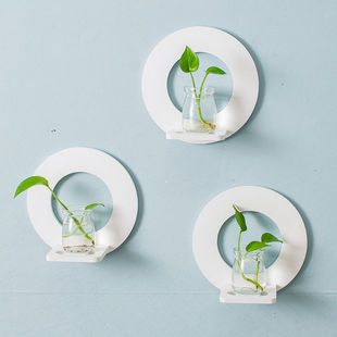 水培植物玻璃花瓶壁挂件花盆创意墙上花架墙面绿植绿萝装饰花架子