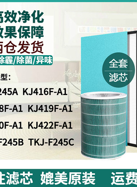 适配TCL净化器TKJ-F245A/B/C KJ416F/418F/419F/420F/422F-A1滤网