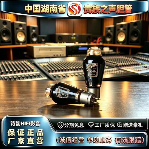 厂家直供 PSVANE/贵族之声COSSOR 300B网屏电子管代300B-T胆机管
