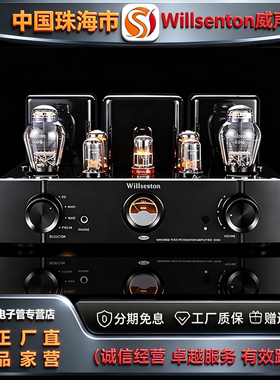 原厂直发 Willsenton/威声顿R300Plus胆机300B电子管hifi功放机