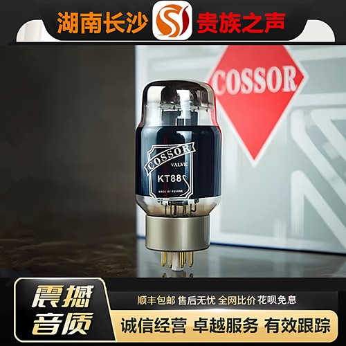 工厂老店 PSVANE/贵族之声COSSOR KT88碳晶电子管代KT88\6550胆管