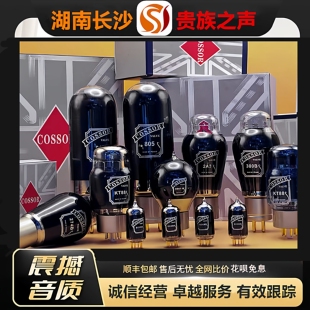 工厂老店 PSVANE/贵族之声COSSOR ECC82\2A3\300B\KT88/805/845管