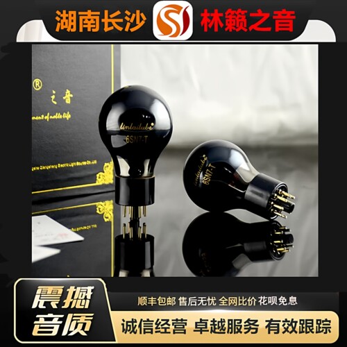 工厂店 LINLAITUBE/林籁6SN7-T喷碳电子管代6N8P-J/6H8C/CV181管