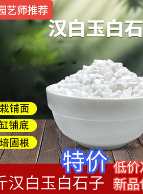 白色鹅卵石白色石子多肉盆栽铺面石白色砾石天然雨花石造景白石子