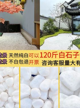 白石子造景园林庭院白色石子鹅卵石白石头景观铺地石白色鹅卵石