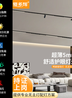 爱多辉超薄磁吸轨道灯明装家用新款极窄36v黑色led射灯客厅无主灯
