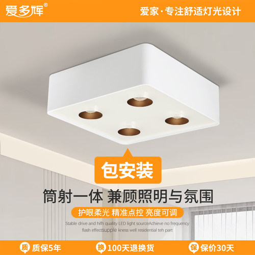 爱多辉明装斗胆灯筒射灯一体智能