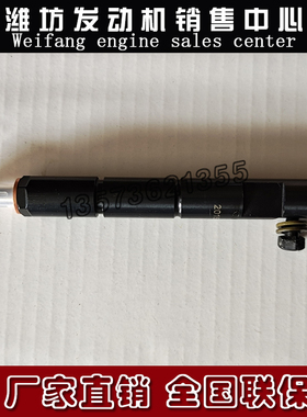 潍柴华丰4105柴油发动机4108拖拉机4RMIZT喷油器4RNT4喷油嘴 油头