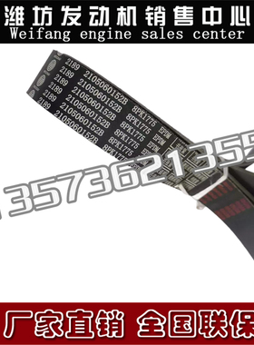 扬州潍柴WP4.1柴油发动机皮带2105060152水泵多楔带8PK1775皮带