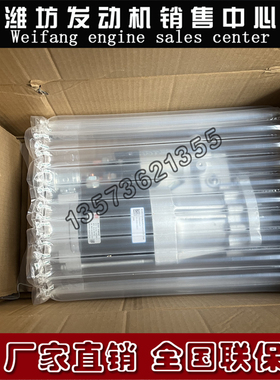 潍柴博杜安M26柴油发动机12M33发电机组启动马达1004246517起动机