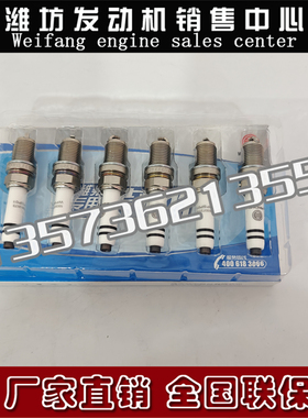 潍柴WP13气体机WP15燃气发动机CNG配件WP10H国六1003373173火花塞
