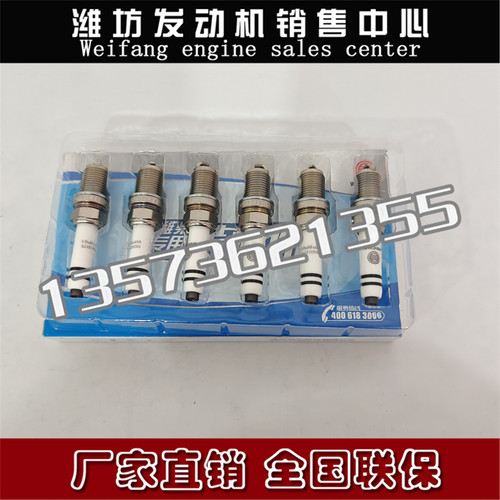 潍柴WP13气体机WP15燃气发动机CNG配件WP10H国六1003373173火花塞
