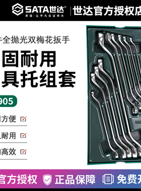 世达工具托汽修汽保10件组合套装公制双头梅花扳手套筒扳子09905