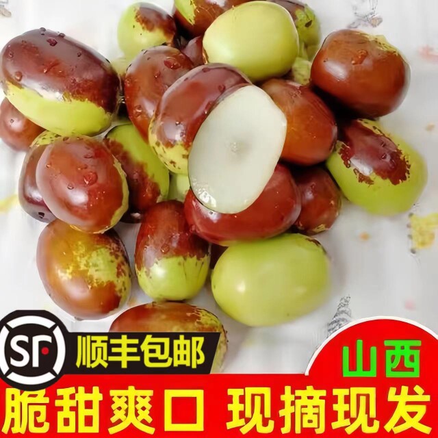 新鲜脆枣2025年正宗稷山板枣鲜枣山西红枣可蒸吃大枣顺丰包邮现摘