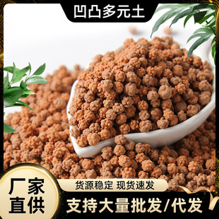 现货供应多元土多凹凸颗粒土多肉专用铺面拌土种植透气生根活力土