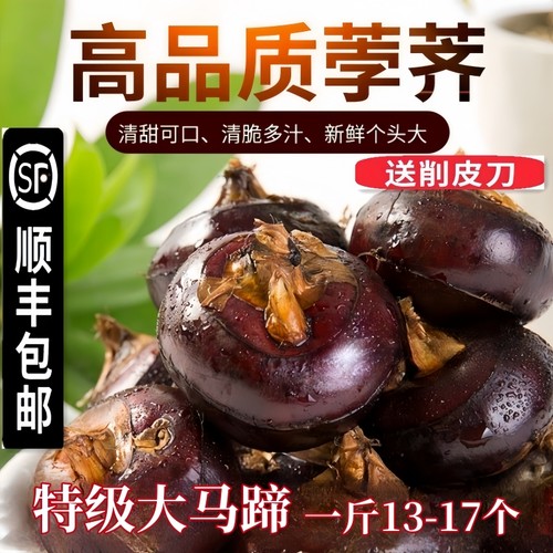 安徽特产现挖新鲜荸荠免洗