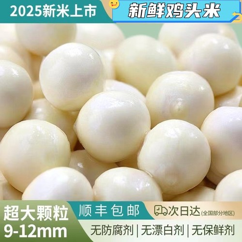苏州特产特大鸡头米真空袋装