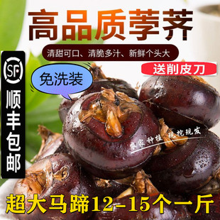 免洗【顺丰包邮】甄选安徽红马蹄荸荠地梨现挖新鲜农家水果包邮