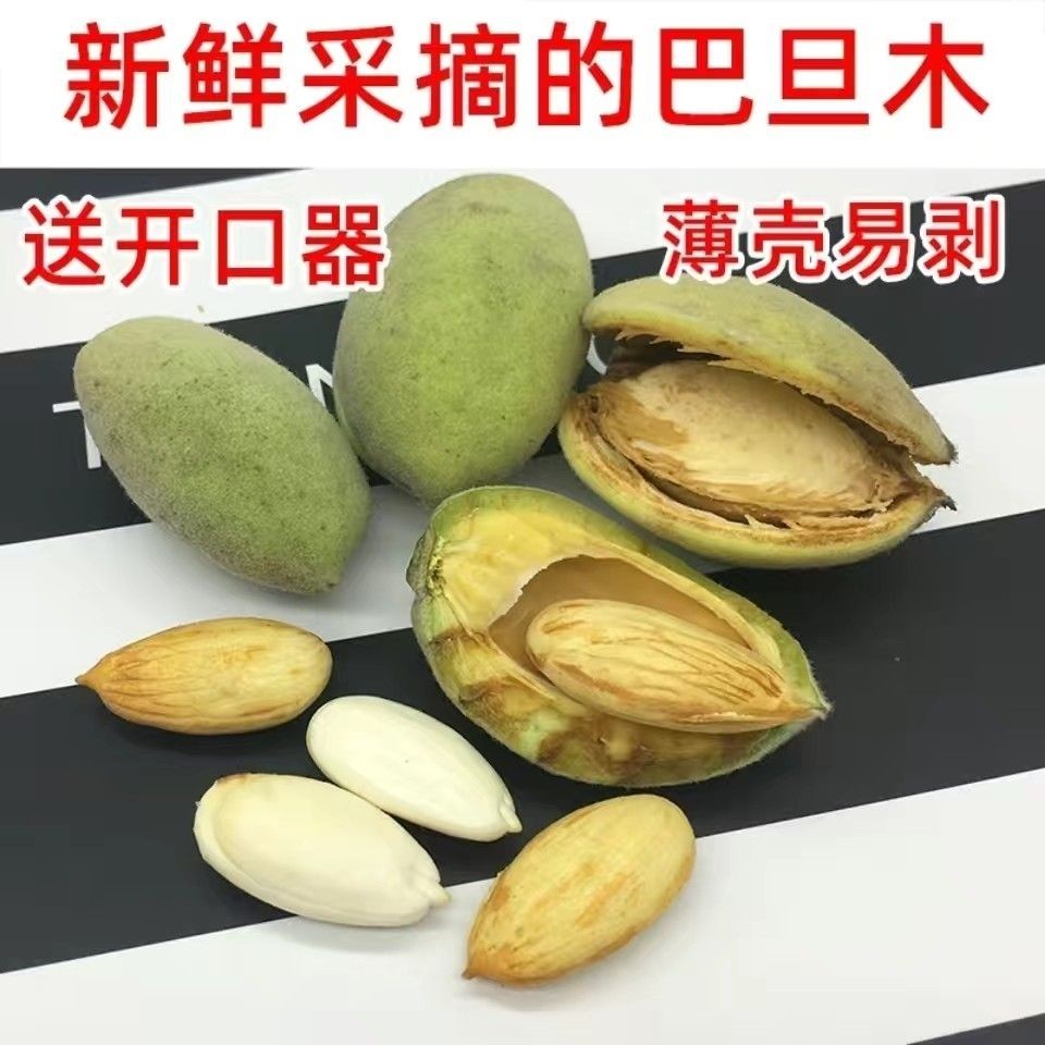当季新鲜生带青皮巴旦木达大杏仁扁桃仁孕妇特级无添加休闲原味绿
