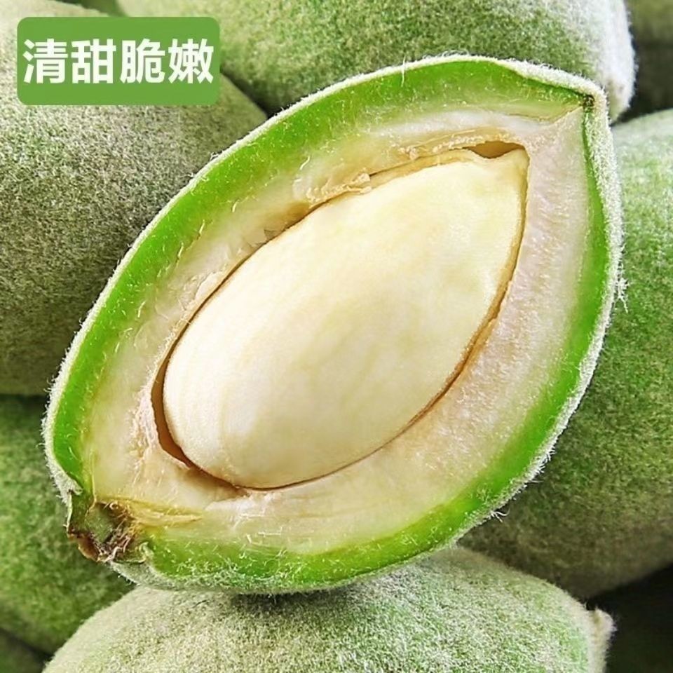 新鲜现摘巴旦木青皮巴达木现发大杏仁原味生扁桃仁特级孕妇绿皮货
