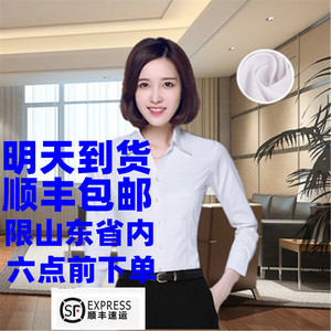 春秋长袖教师职业公务员面试衬衫