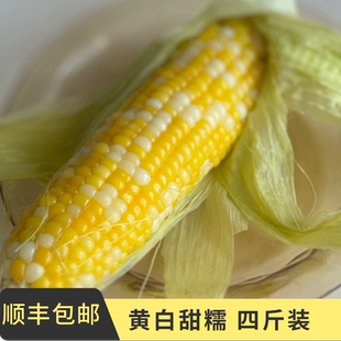 鸿斌玉米黄白甜糯山东脆甜糯清香新鲜带皮早餐四斤 现摘 速冻