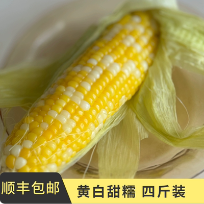鸿斌甜糯玉米清香微糯顺丰包邮