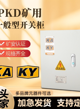 矿用井下配电箱室内挂墙PKD/GKD成套电气设备矿安资质KAKY控制柜